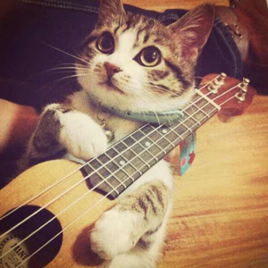 亚州一级av无码毛片久久精品
